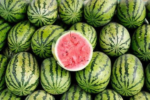 大瓜吃料网免费网页版,揭秘娱乐圈最新动态,畅享娱乐资讯盛宴 第1张 大瓜吃料网免费网页版,揭秘娱乐圈最新动态,畅享娱乐资讯盛宴 第1张