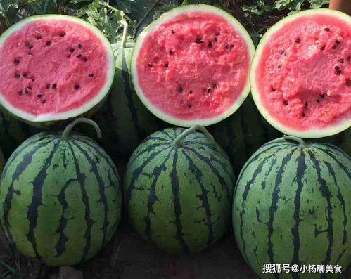 有哪些吃瓜免费的网站,盘点那些让你畅享娱乐的免费网站  第1张